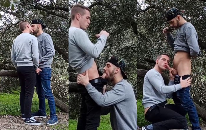 horny boys exchanging blowjob in the park